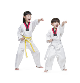 Karate Class (For Young Kids)